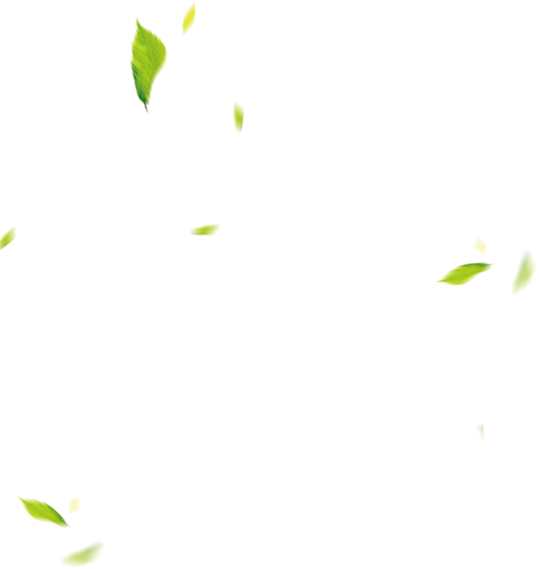 slider-img1.png