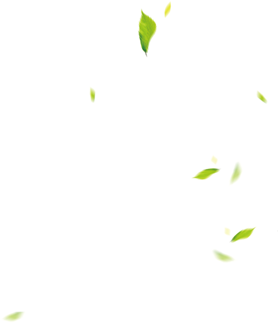 slider-img2.png